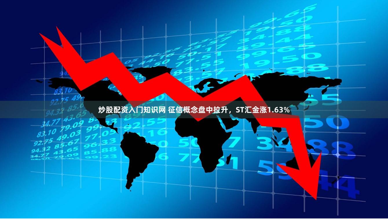 炒股配资入门知识网 征信概念盘中拉升，ST汇金涨1.63%