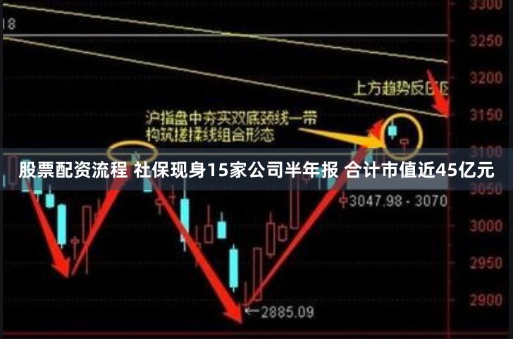 股票配资流程 社保现身15家公司半年报 合计市值近45亿元